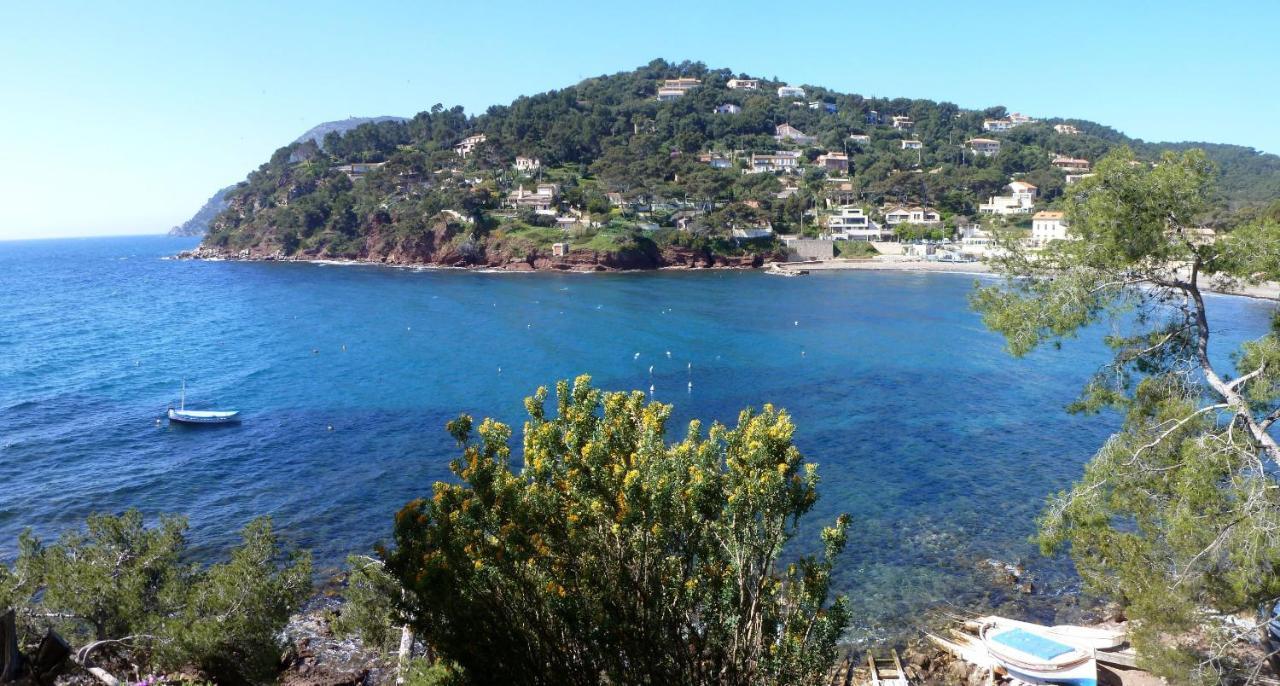 L'Hippocampe: Beachside Retreat with King-Size Comfort La Seyne-sur-Mer Exterior photo