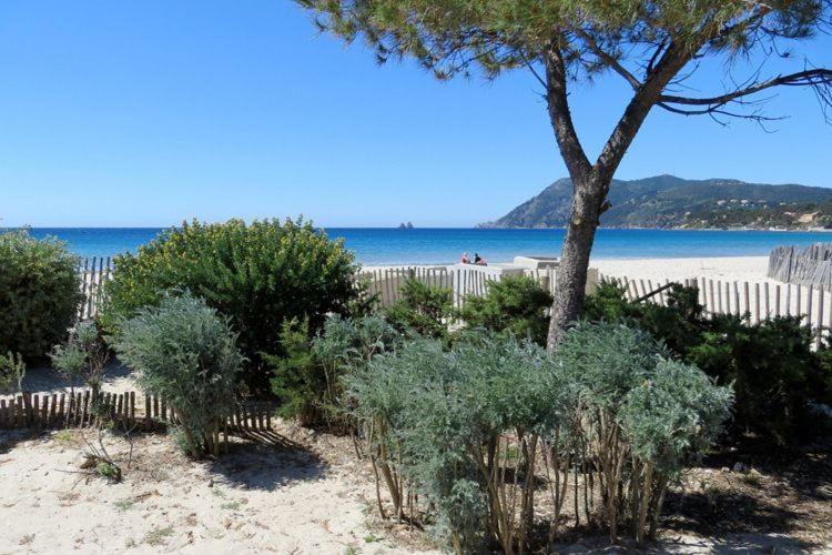 L'Hippocampe: Beachside Retreat with King-Size Comfort La Seyne-sur-Mer Exterior photo