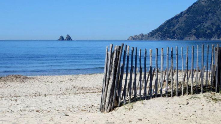 L'Hippocampe: Beachside Retreat with King-Size Comfort La Seyne-sur-Mer Exterior photo